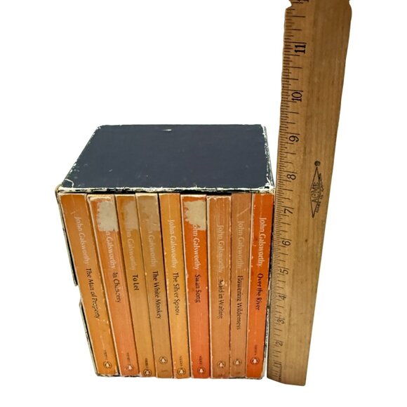 Vintage Forsyte Chronicles Penguin 9 Book Box Set TV Series BBC Tie-In 1960s - Picture 14 of 15